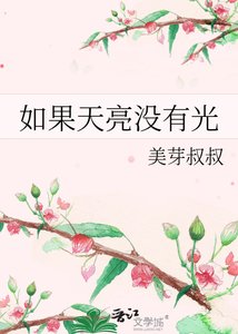 《如果天亮没有光》